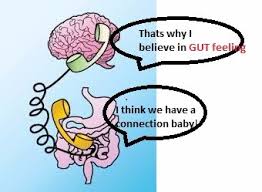 gut brain connection