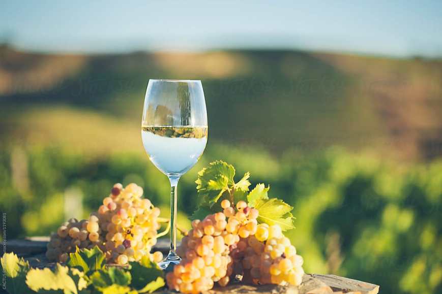glass of white wine